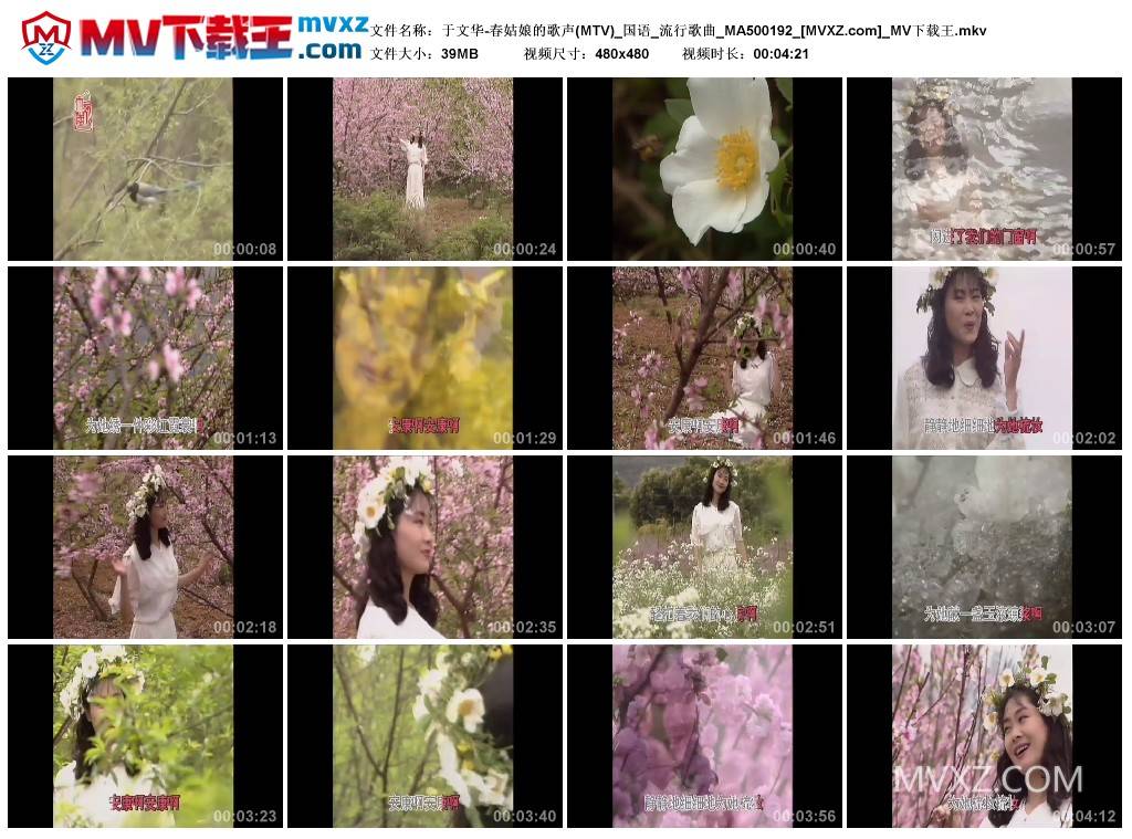 于文华-春姑娘的歌声(MTV)_国语_流行歌曲_MA500192